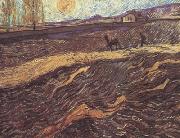 Vincent Van Gogh Enclosed Field with Ploughman (nn04) oil painting on canvas